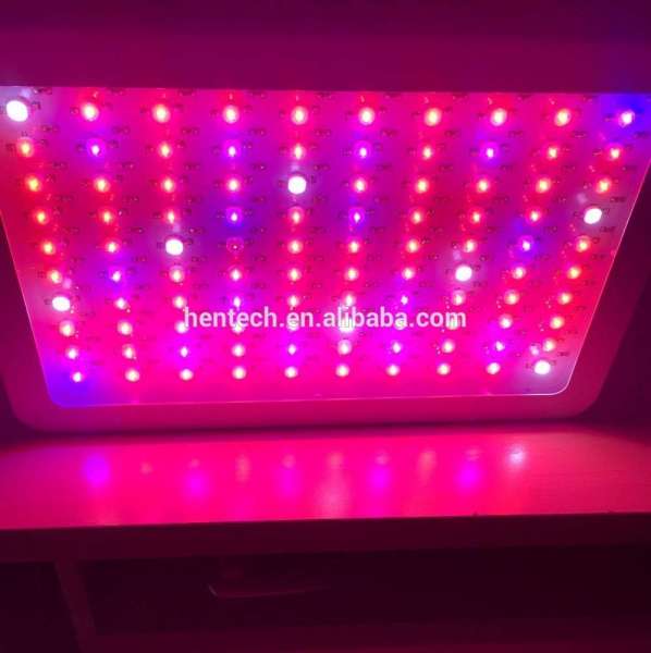 2019 Hentech New Product Full Spectrum LED Grow light for most of crops 300W mini with 3 years warranty